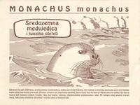 Sredozemna medvjedica i njezina obitelj