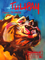 Tulipan